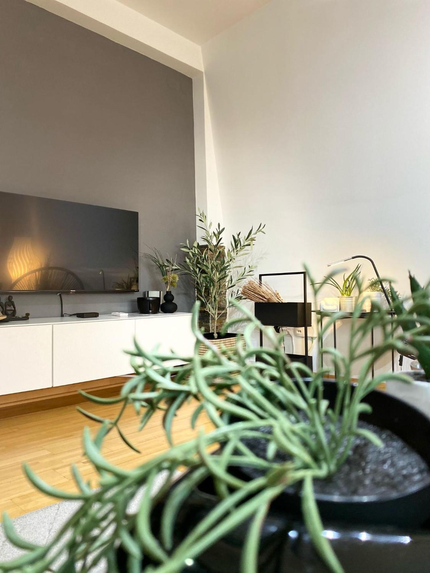 Apartman Riva คราลเยโว ภายนอก รูปภาพ